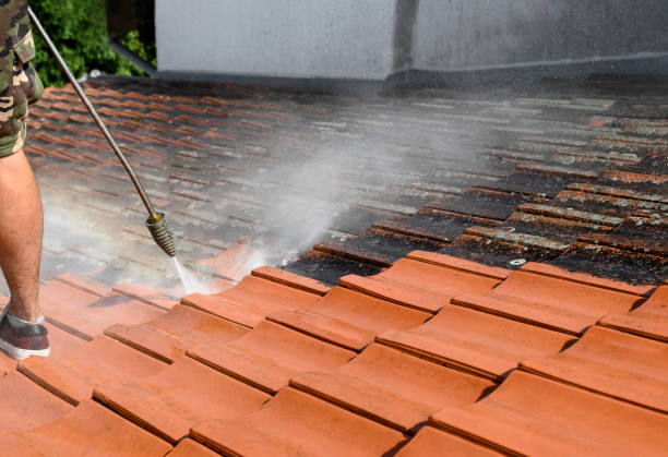 Best Fence Pressure Washing  in Woodbine, IA