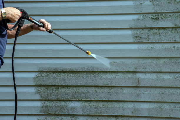 Best Commercial Building Pressure Washing  in Woodbine, IA