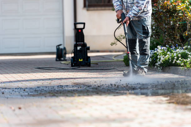 Best Power Washing Near Me  in Woodbine, IA