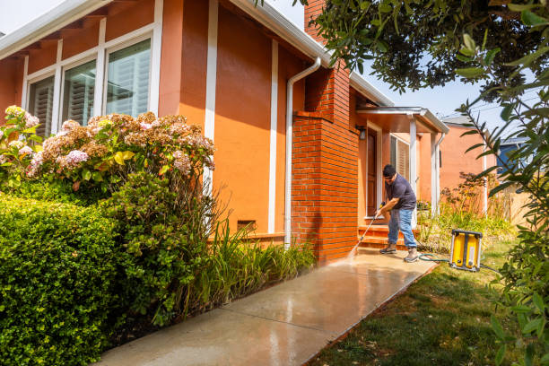 Best Power Washing Near Me  in Woodbine, IA