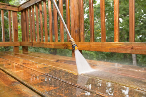 Best House Pressure Washing  in Woodbine, IA